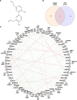 Identification of potential target genes of honokiol in overcoming breast cancer resistance to tamoxifen